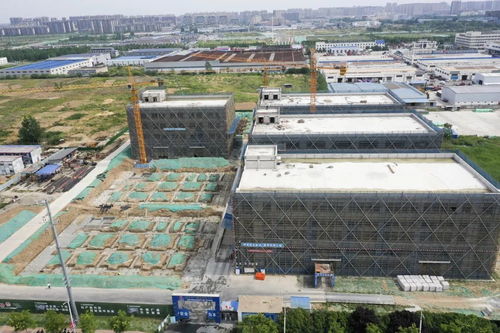 宿遷搶抓“它經(jīng)濟(jì)”新風(fēng)口 50億級(jí)寵物經(jīng)濟(jì)產(chǎn)業(yè)園蓄勢待發(fā)